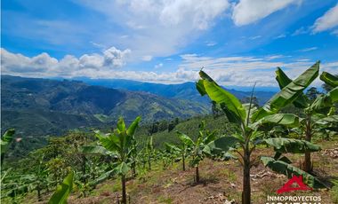 Finca mixta en Santuario Risaralda