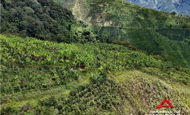 Finca mixta en Santuario Risaralda