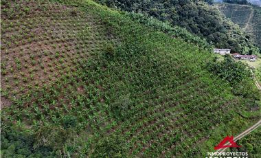 Finca mixta en Santuario Risaralda
