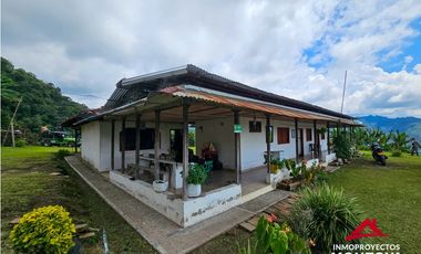 Finca mixta en Santuario Risaralda