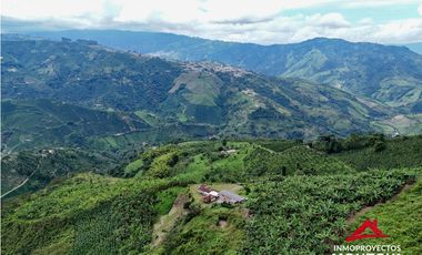 Finca mixta en Santuario Risaralda