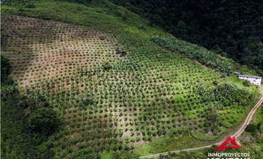 Finca mixta en Santuario Risaralda