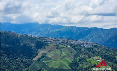 Finca mixta en Santuario Risaralda