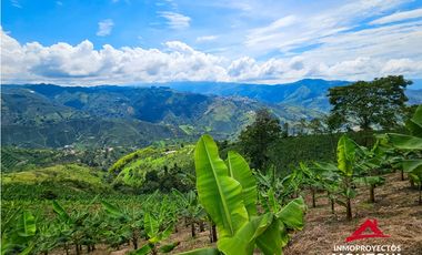 Finca mixta en Santuario Risaralda