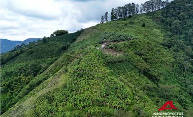 Finca mixta en Santuario Risaralda