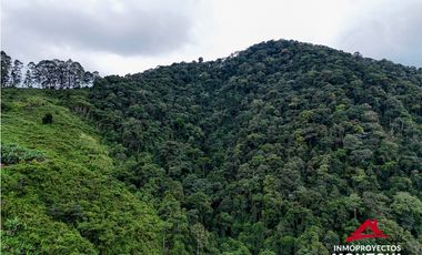 Finca mixta en Santuario Risaralda