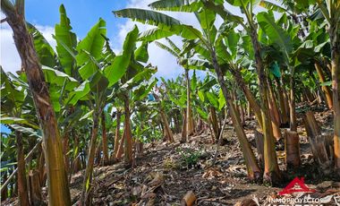 Finca mixta en Santuario Risaralda
