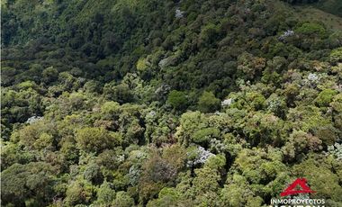 Finca mixta en Santuario Risaralda