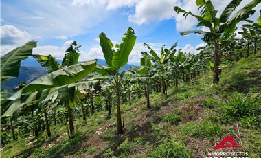 Finca mixta en Santuario Risaralda