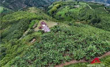 Finca mixta en Santuario Risaralda