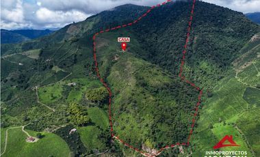 Finca mixta en Santuario Risaralda