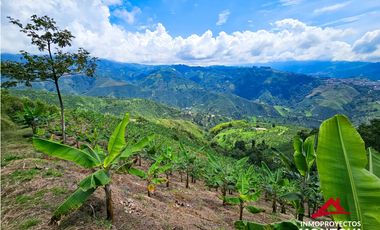 Finca mixta en Santuario Risaralda