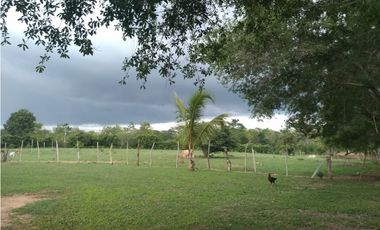 VENDO FINCA EN SANTA FE VIA  TIERRALTA