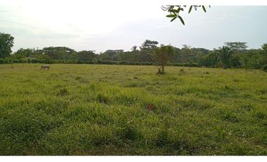 VENDO FINCA EN SANTA FE VIA  TIERRALTA