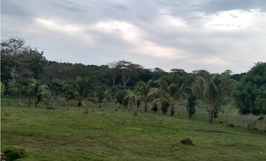 VENDO FINCA EN SANTA FE VIA  TIERRALTA