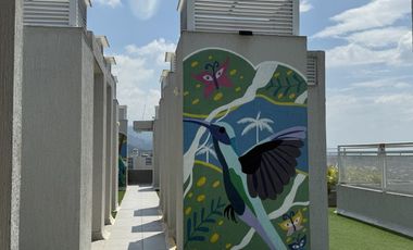 Alquilo Apartamento Con Vista Panoramica Ubicado En El Centro De Cali