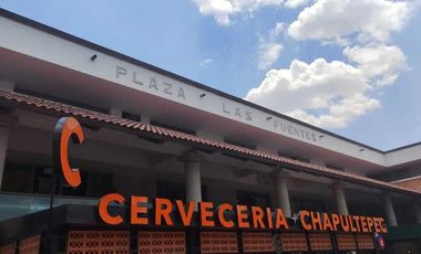 VENTA DE PLAZA COMERCIAL LAS FUENTES EN LA PURÍSIMA METEPEC