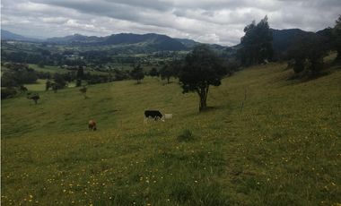HERMOSA FINCA VEREDA SECTOR SAN ISIDRO ZIPAQUIR