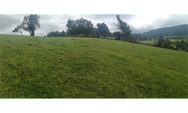 HERMOSA FINCA VEREDA SECTOR SAN ISIDRO ZIPAQUIR