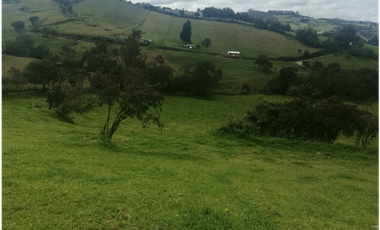 HERMOSA FINCA VEREDA SECTOR SAN ISIDRO ZIPAQUIR