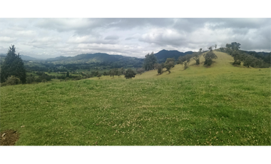 HERMOSA FINCA VEREDA SECTOR SAN ISIDRO ZIPAQUIR