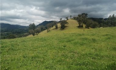 HERMOSA FINCA VEREDA SECTOR SAN ISIDRO ZIPAQUIR