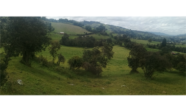 HERMOSA FINCA VEREDA SECTOR SAN ISIDRO ZIPAQUIR
