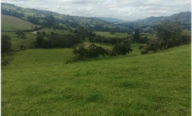 HERMOSA FINCA VEREDA SECTOR SAN ISIDRO ZIPAQUIR