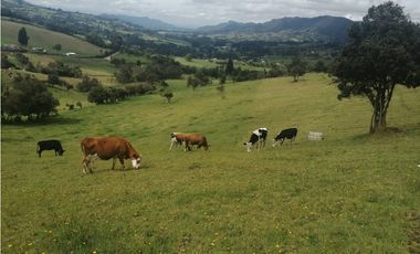 HERMOSA FINCA VEREDA SECTOR SAN ISIDRO ZIPAQUIR