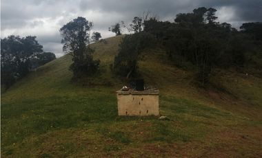 HERMOSA FINCA VEREDA SECTOR SAN ISIDRO ZIPAQUIR