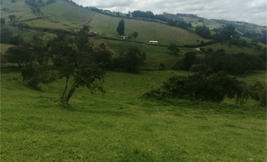 HERMOSA FINCA VEREDA SECTOR SAN ISIDRO ZIPAQUIR