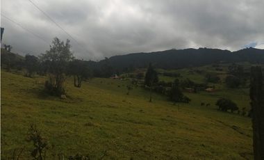 HERMOSA FINCA VEREDA SECTOR SAN ISIDRO ZIPAQUIR