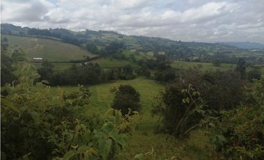 HERMOSA FINCA VEREDA SECTOR SAN ISIDRO ZIPAQUIR