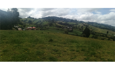 HERMOSA FINCA VEREDA SECTOR SAN ISIDRO ZIPAQUIR