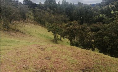 HERMOSA FINCA VEREDA SECTOR SAN ISIDRO ZIPAQUIR