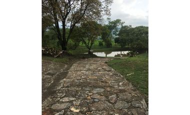 OPORTUNIDAD FINCA PRODUCTIVA 10 FANEGADAS PEÑA NEGRA CACHIPAY