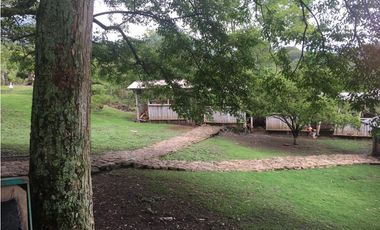 OPORTUNIDAD FINCA PRODUCTIVA 10 FANEGADAS PEÑA NEGRA CACHIPAY