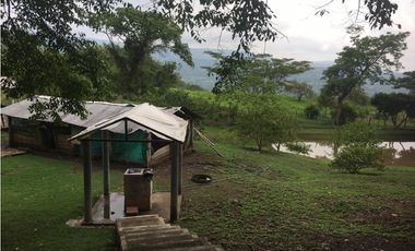 OPORTUNIDAD FINCA PRODUCTIVA 10 FANEGADAS PEÑA NEGRA CACHIPAY