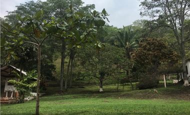 OPORTUNIDAD FINCA PRODUCTIVA 10 FANEGADAS PEÑA NEGRA CACHIPAY