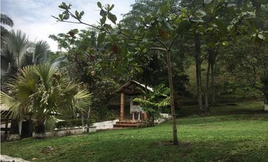 OPORTUNIDAD FINCA PRODUCTIVA 10 FANEGADAS PEÑA NEGRA CACHIPAY