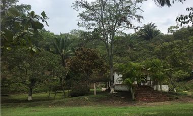 OPORTUNIDAD FINCA PRODUCTIVA 10 FANEGADAS PEÑA NEGRA CACHIPAY