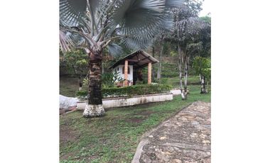 OPORTUNIDAD FINCA PRODUCTIVA 10 FANEGADAS PEÑA NEGRA CACHIPAY