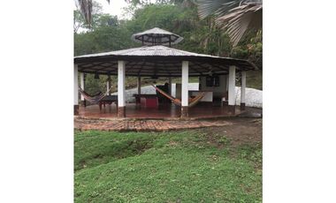 OPORTUNIDAD FINCA PRODUCTIVA 10 FANEGADAS PEÑA NEGRA CACHIPAY