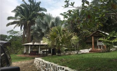 OPORTUNIDAD FINCA PRODUCTIVA 10 FANEGADAS PEÑA NEGRA CACHIPAY