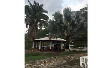 OPORTUNIDAD FINCA PRODUCTIVA 10 FANEGADAS PEÑA NEGRA CACHIPAY