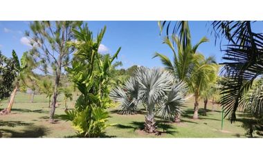 Venta de Casas con piscina en Aguadulce