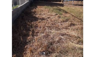 Vendo lote de Terreno en David bien barato