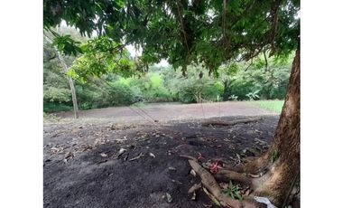 Vendo lote de Terreno en David bien barato