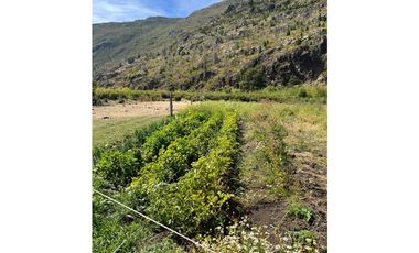 EN VENTA CHACRA DE 6 HA EN EL HOYO, CHUBUT. CH 24