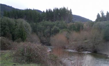 EN VENTA CHACRA DE 6 HA EN EL HOYO, CHUBUT. CH 24